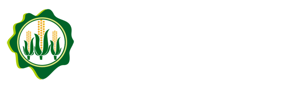 德甲投注